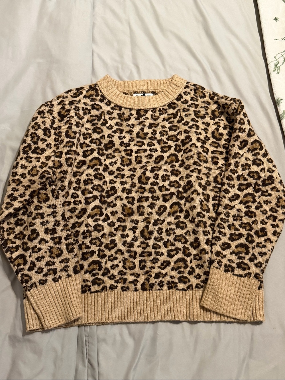 American Eagle Outfitters Leopard Print Crewneck Sweater in Beige and Brown